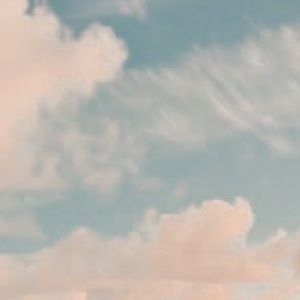 Meet your Posher, Piper